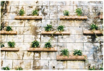 Jardin vertical facile en jardinières de bois sur un mur